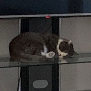 Meet your Posher, Ariana